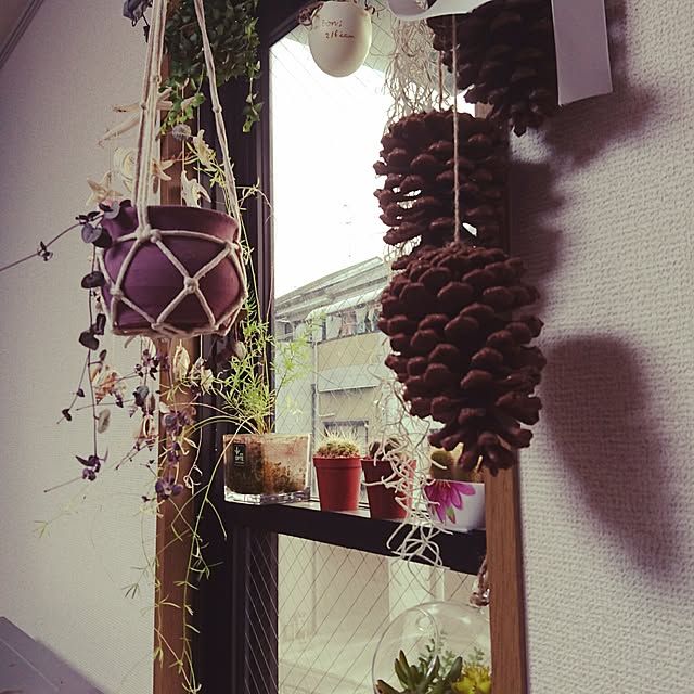 rieさんの実例写真