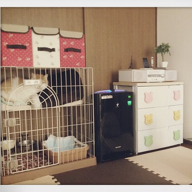 hide0415saoさんの実例写真