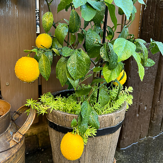 tabasaさんの部屋