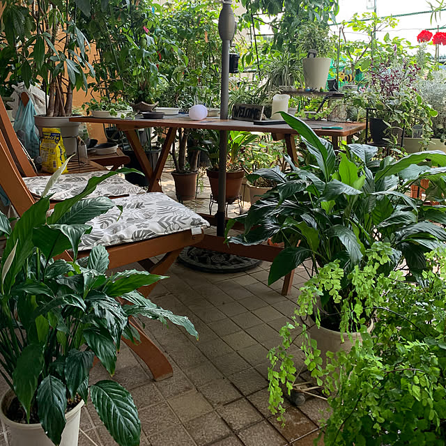 Aqettyさんの部屋