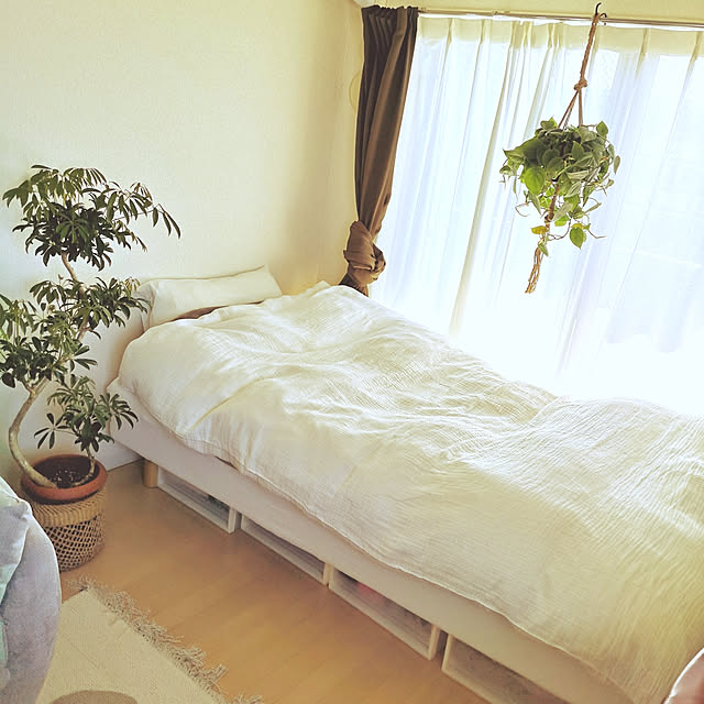 zrdjさんの実例写真