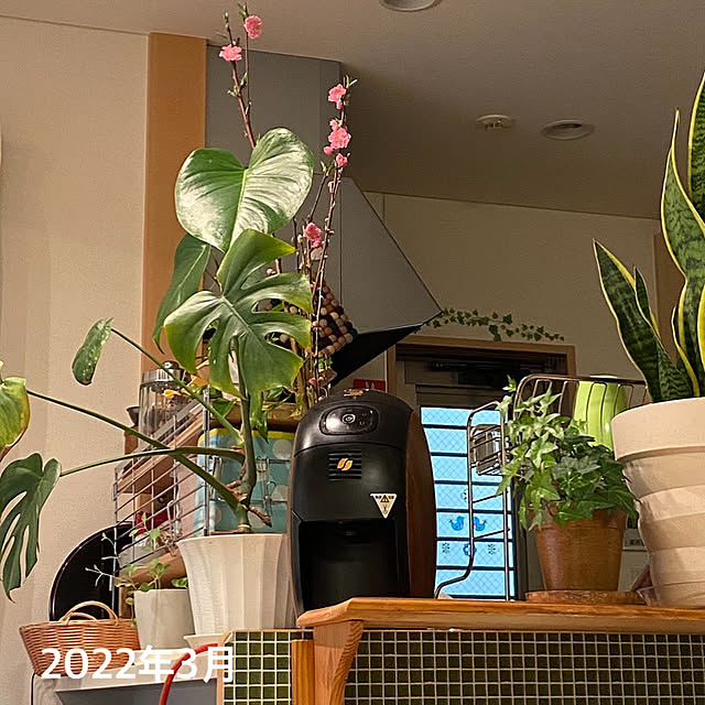 m_kさんの実例写真