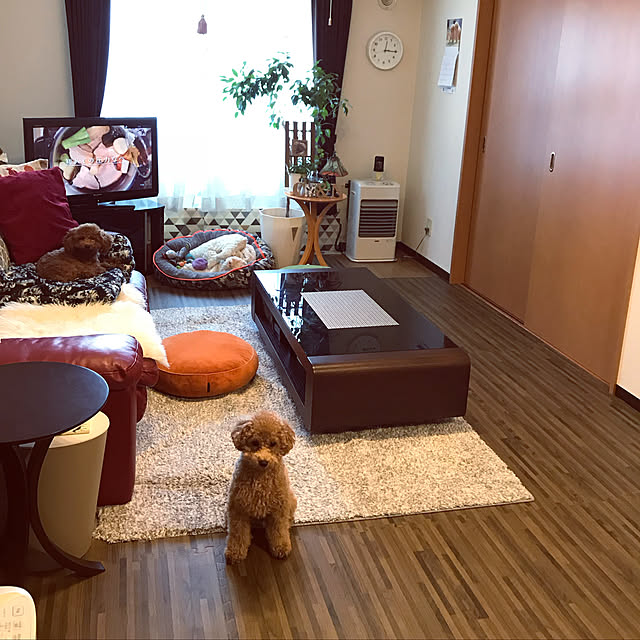 Karinさんの実例写真