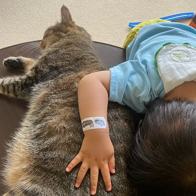 mikomaruさんの実例写真