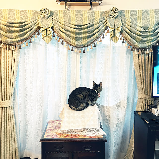 suzuさんの実例写真