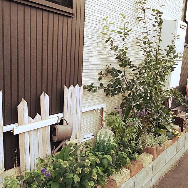 Mikicocoaさんの実例写真