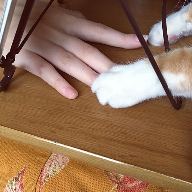 baronkotarouさんの実例写真