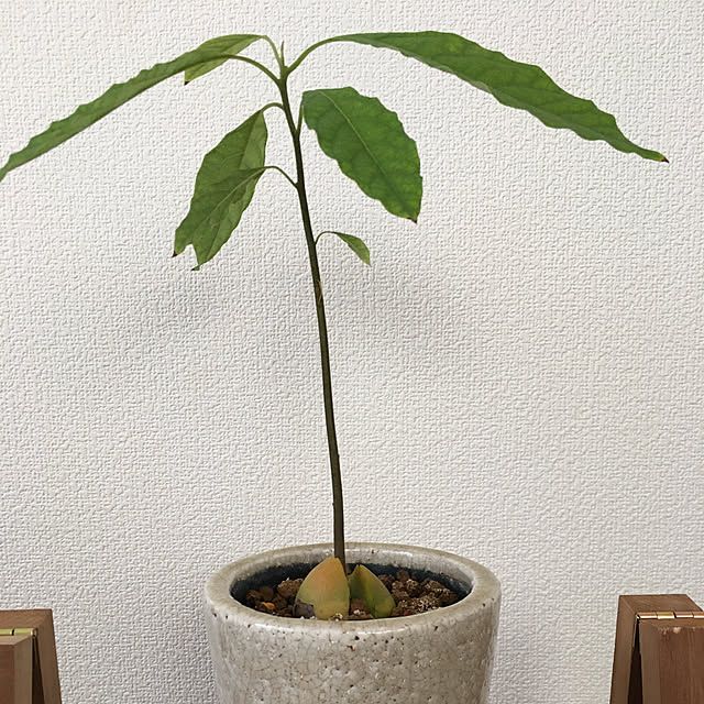 makooさんの実例写真