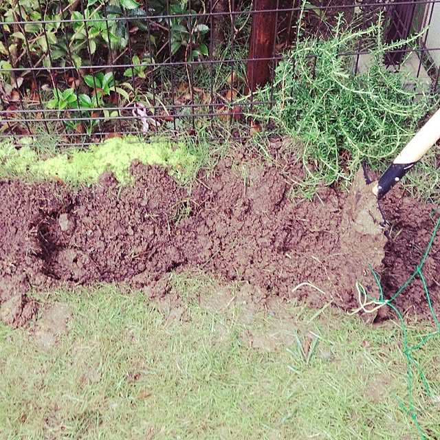 Sukeさんの実例写真