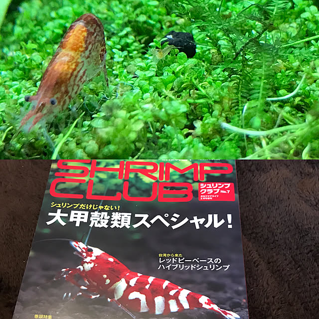 kouta_Co.さんの実例写真