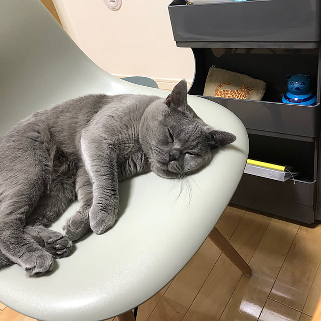 GUMIMINさんの実例写真