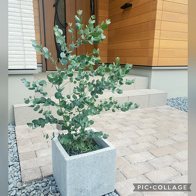 tomatopapaさんの実例写真