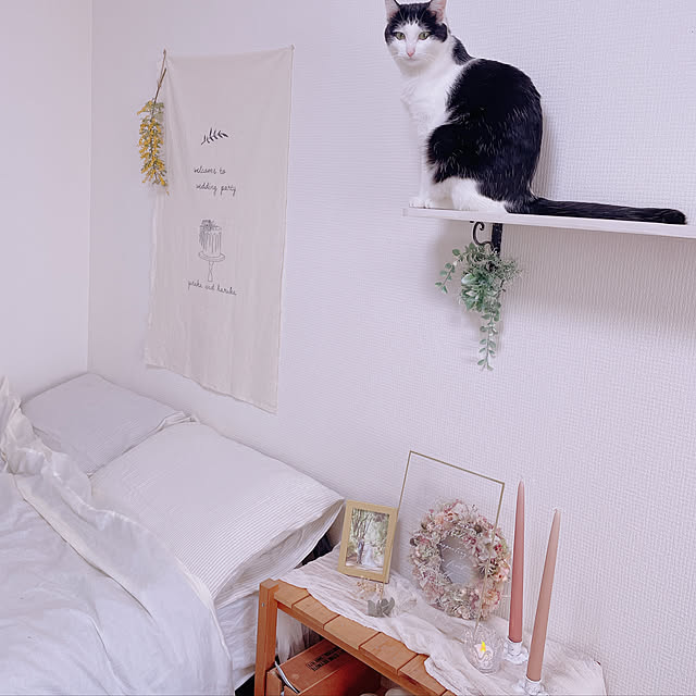 harukaさんの実例写真