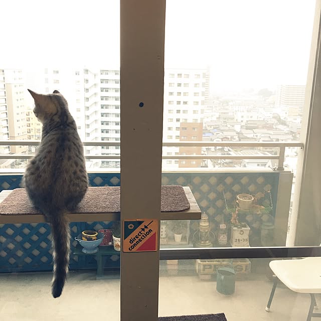 Shojiさんの実例写真