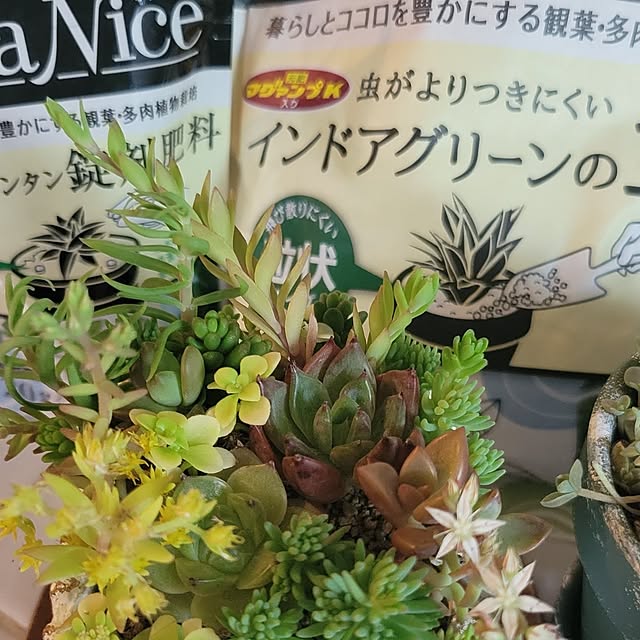 tulipさんの実例写真