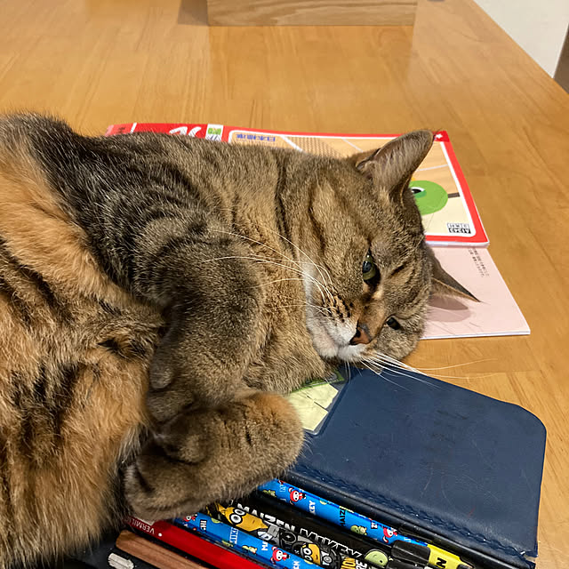 kirinsanさんの実例写真