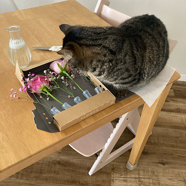 nocomomさんの実例写真