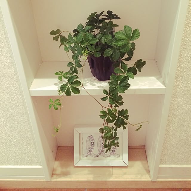 ms5025さんの実例写真