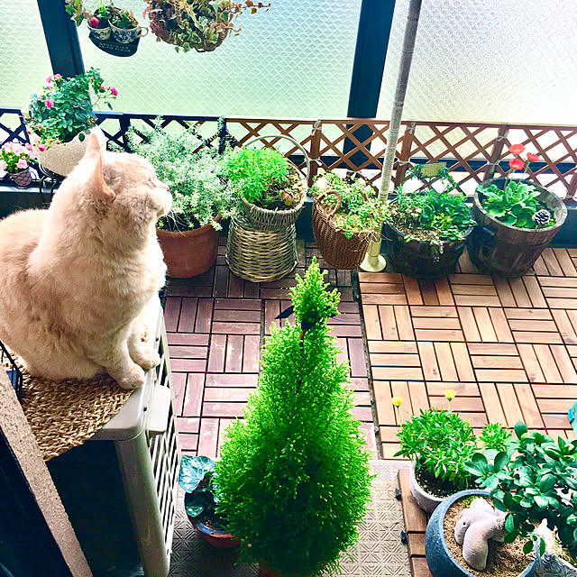 naokoさんの実例写真