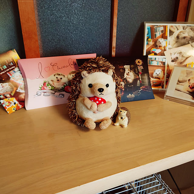 Yukariさんの実例写真