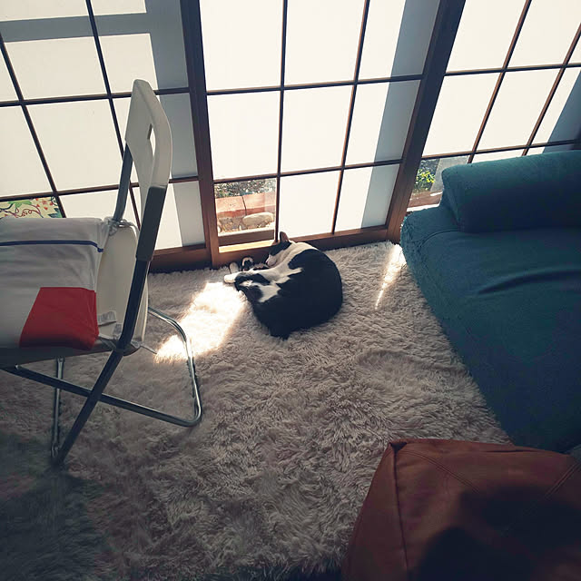 oseroさんの実例写真
