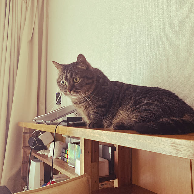 nocomomさんの実例写真