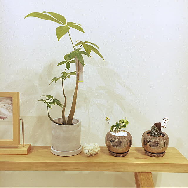 cocoさんの実例写真