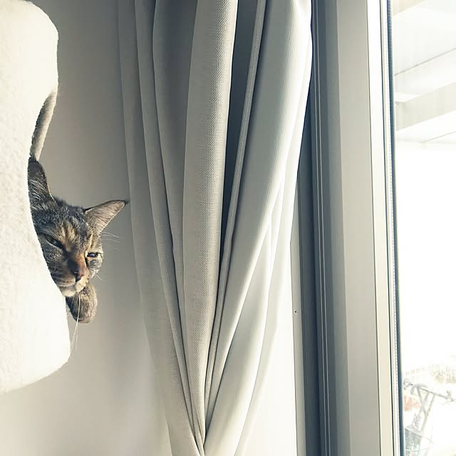 Yukoさんの実例写真