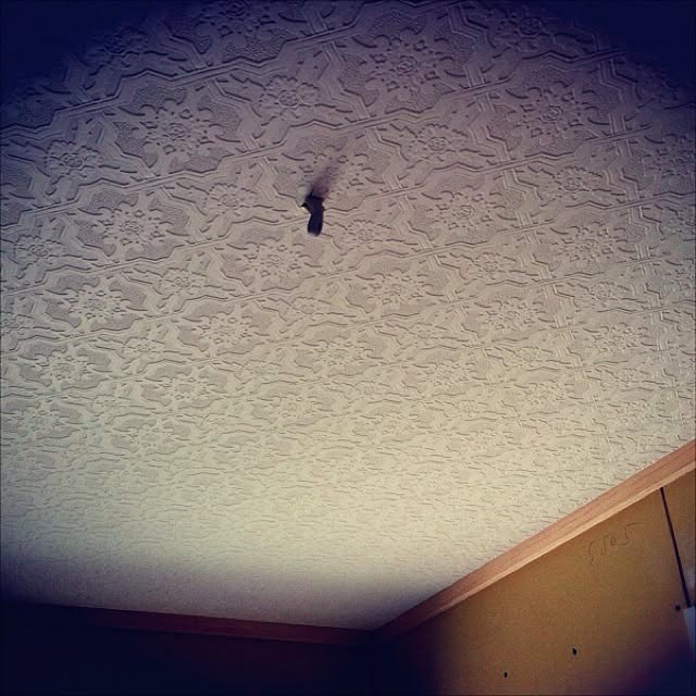 165さんの実例写真