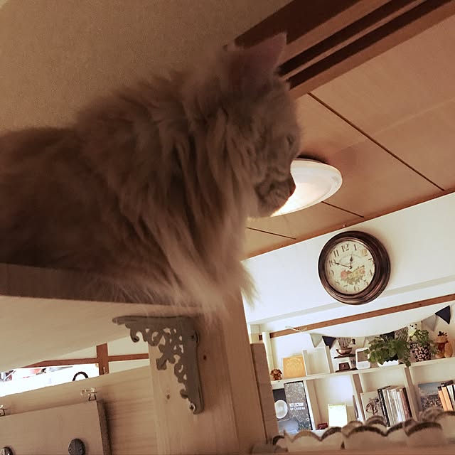 roseさんの実例写真