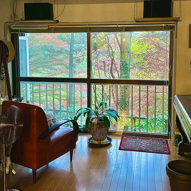 Yukimaruさんの実例写真