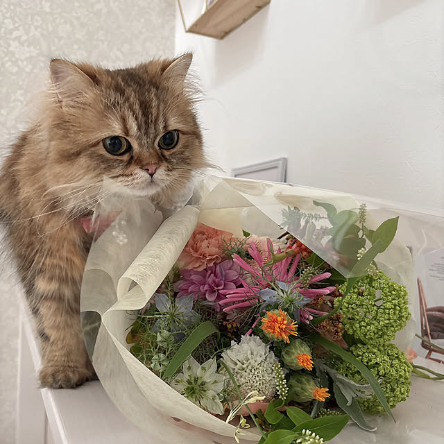 miyu39さんの部屋