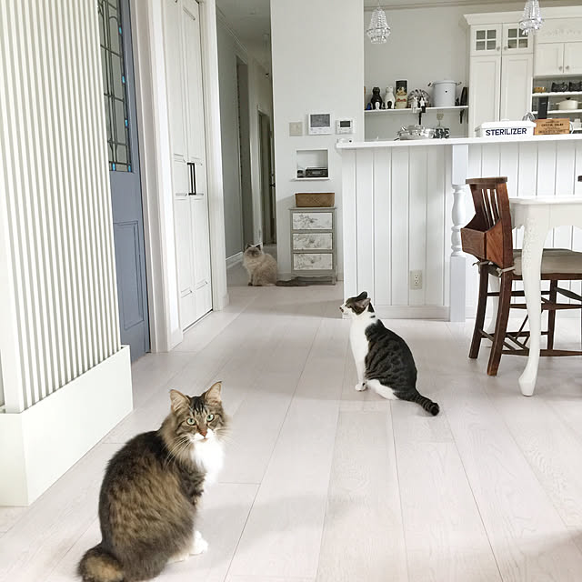 yuchiさんの実例写真