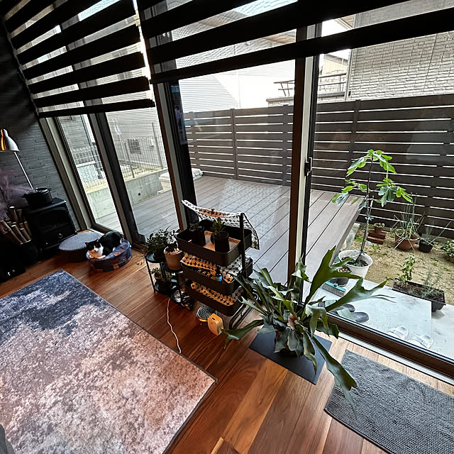 porinさんの部屋