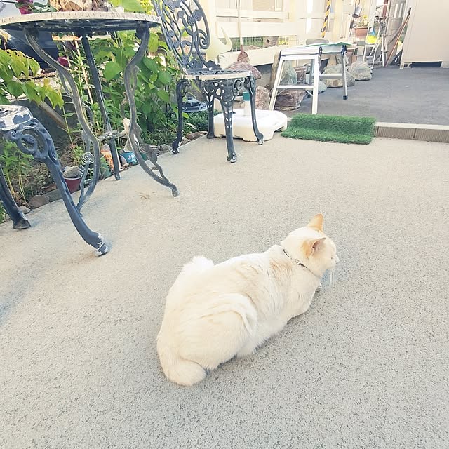 nrsim+kmymさんの実例写真