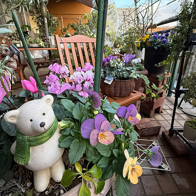 Aqettyさんの部屋