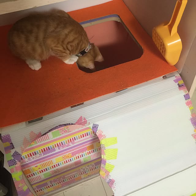 kimishigureさんの実例写真