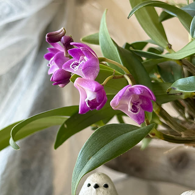 Aqettyさんの部屋