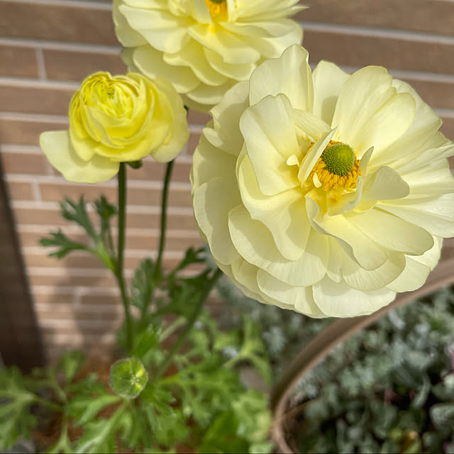 megu12さんの実例写真