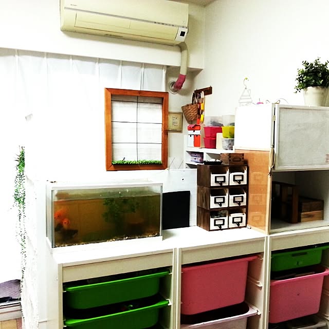 実例写真