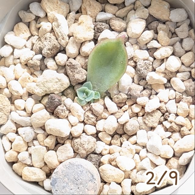 mi-saさんの部屋