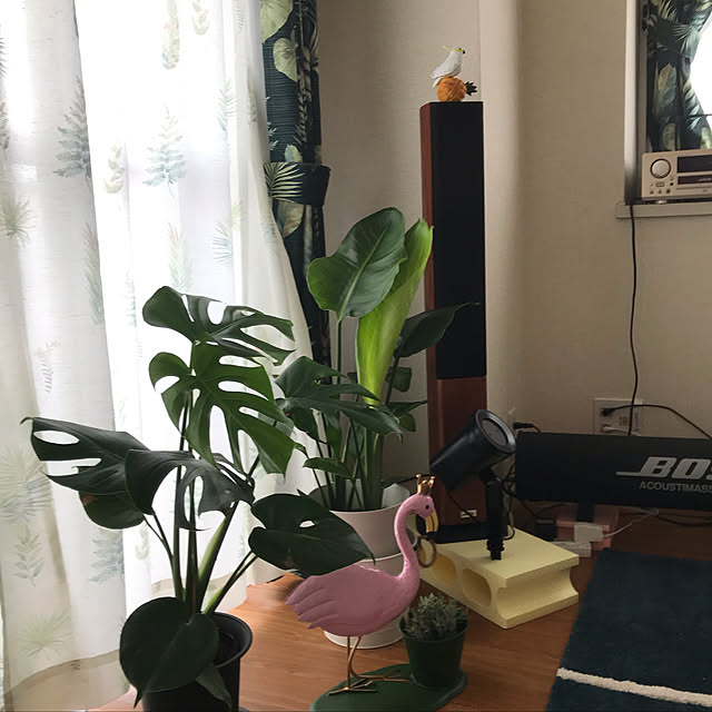 部屋全体のインテリア実例 - 2019-07-05 16:18:55