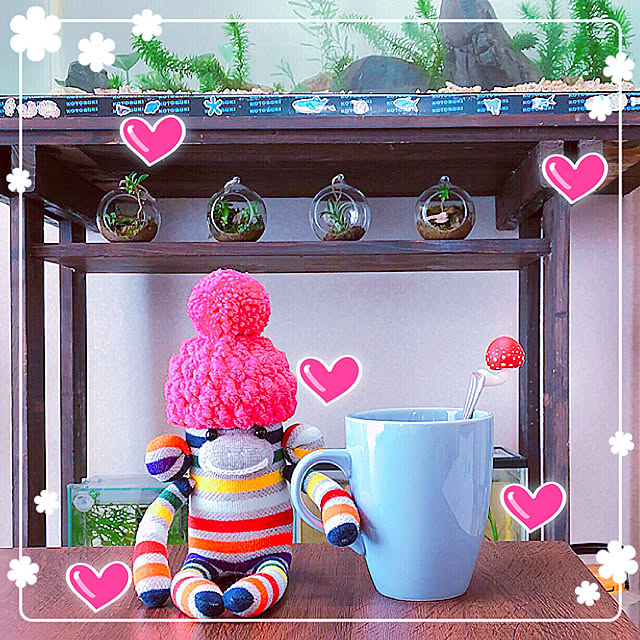 koyuriさんの実例写真
