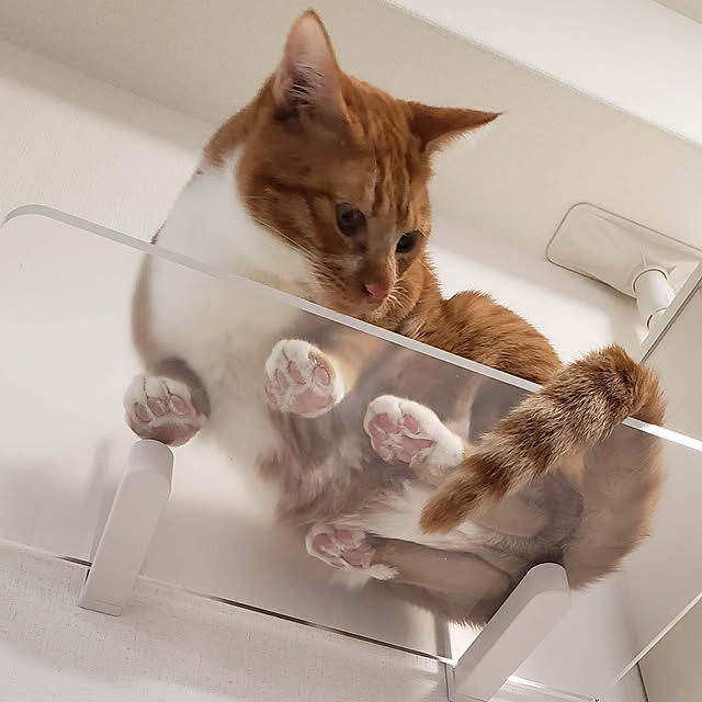 hiroさんの実例写真