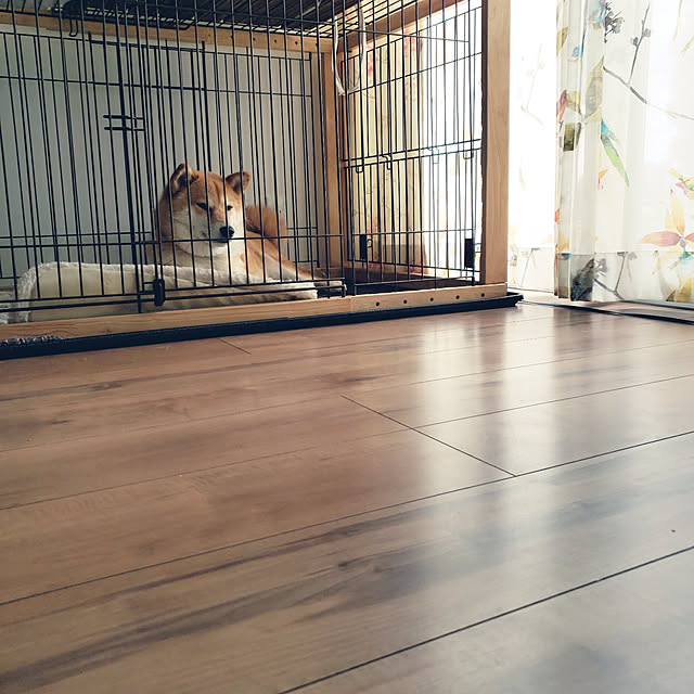 yukiさんの実例写真