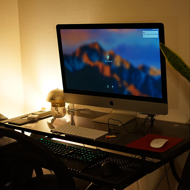 Noahさんの実例写真