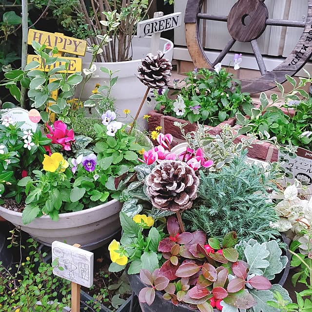 satosanさんの部屋