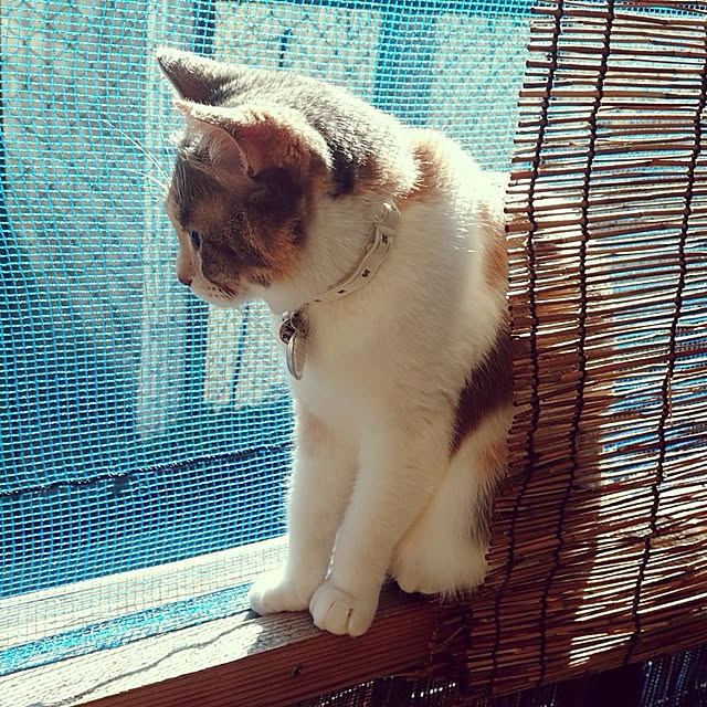 fukuさんの実例写真
