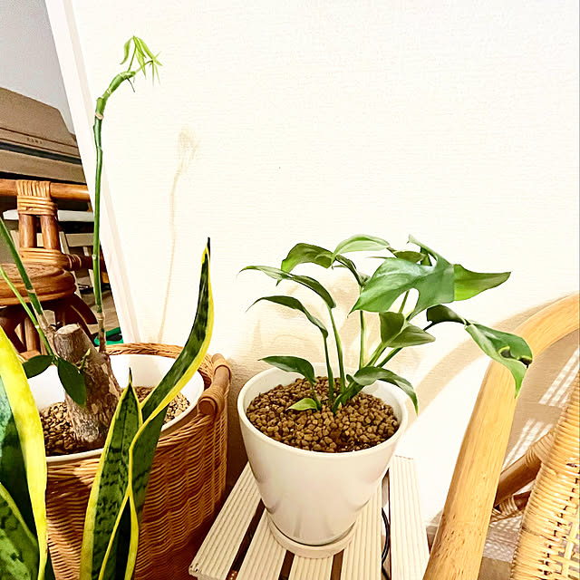 RAKI_Homeさんの実例写真