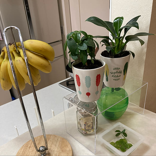 YukikunMonsterさんの実例写真